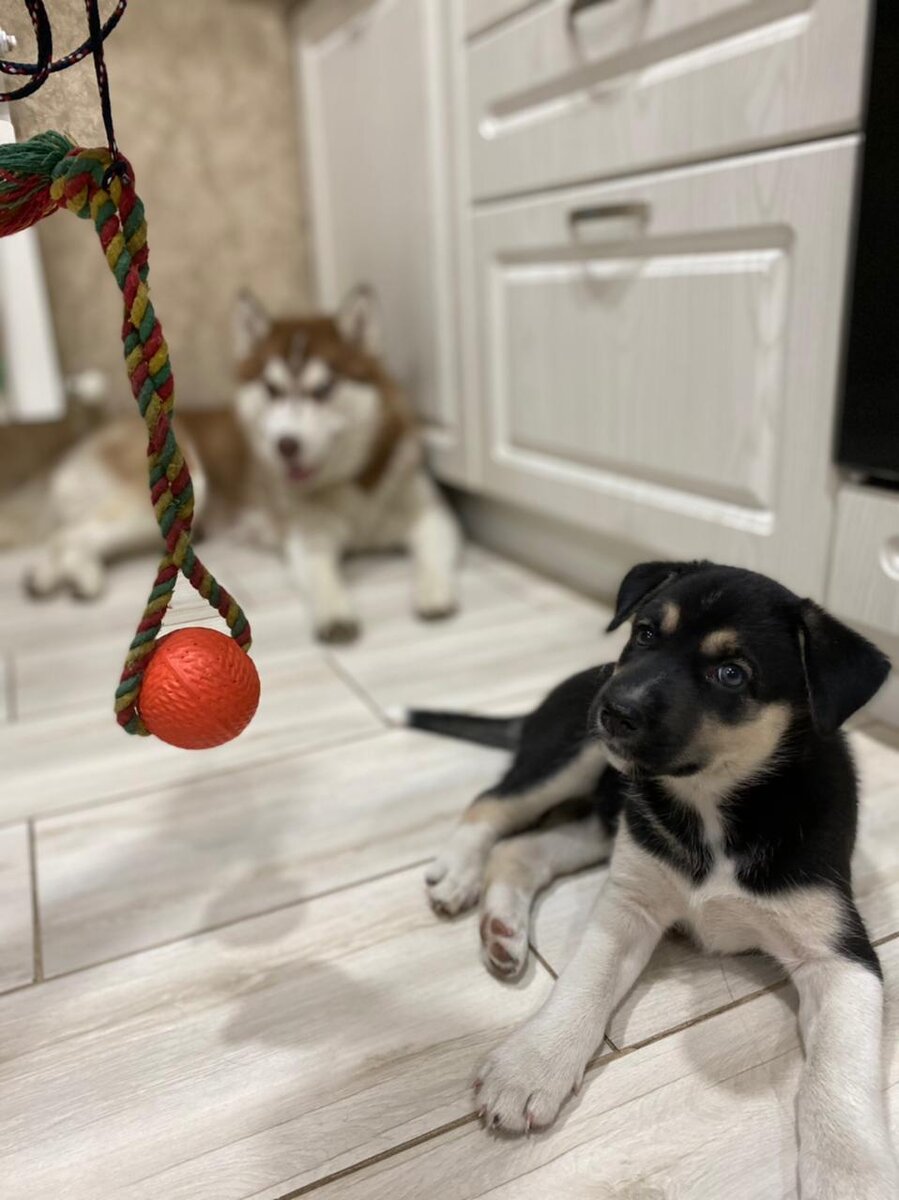 Она заинтересована не так ли?!