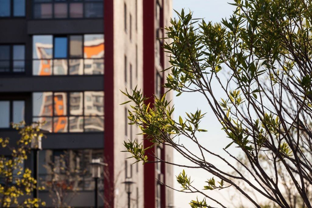 Средний рост цен на жилье по стране составляет 12%