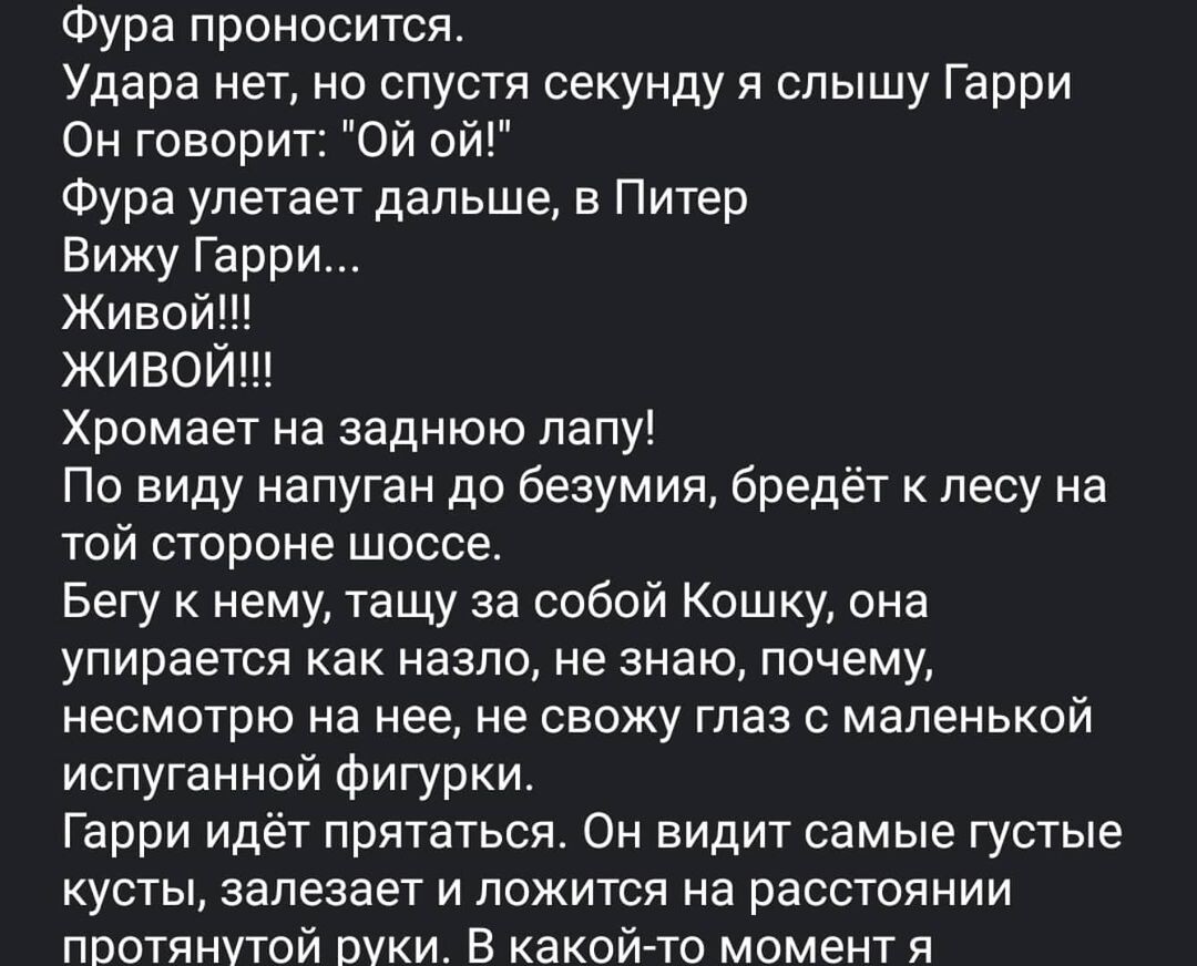Продолжение в 🎠 ⏩⏩⏩