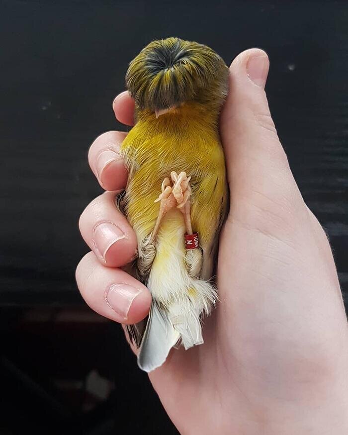 -2