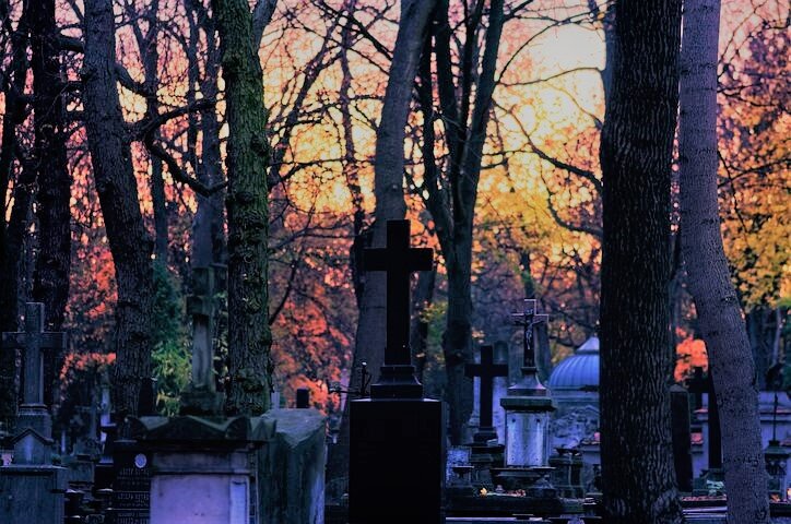 Источник: Яндекс. Картинки