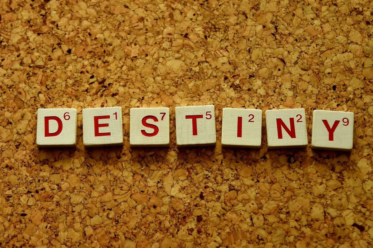 Изображение взято из открытых источников интернет