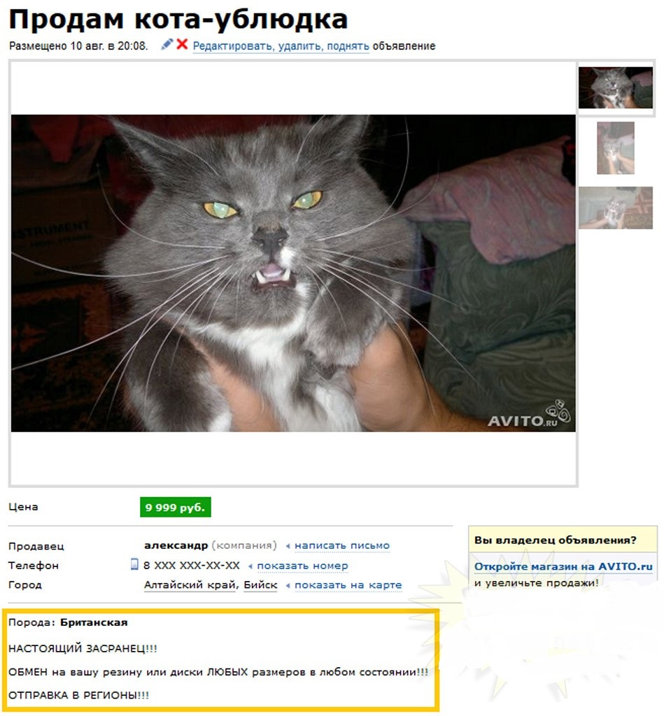 Веселые картинки авито