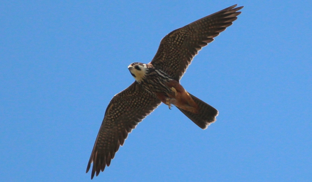 Фото: Анастасия Потапова