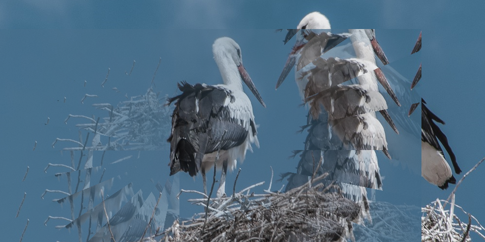 Символ семейного счастья