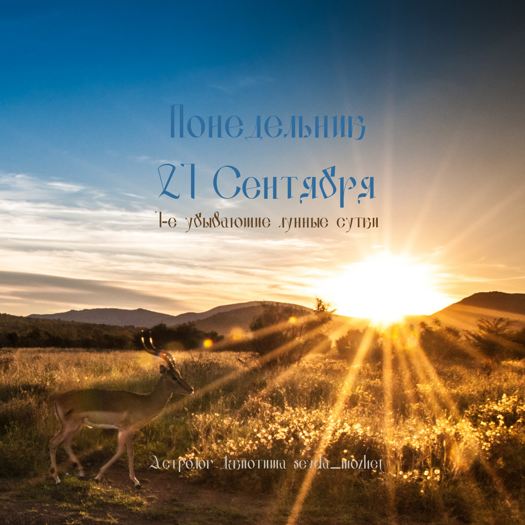 Астролог Джйотиша Севда Абдуллаева