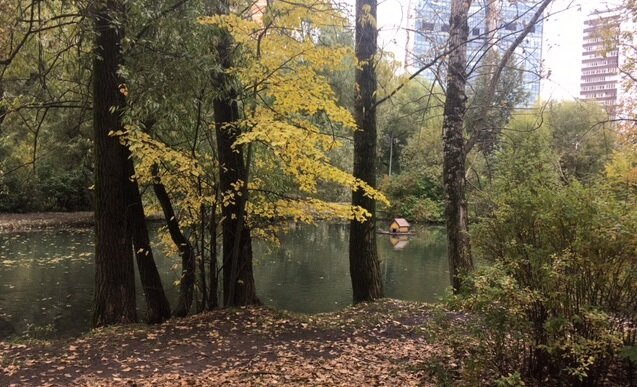 Воронцовский парк, через который пролегает путь автора на работу и обратно. Фото автора.