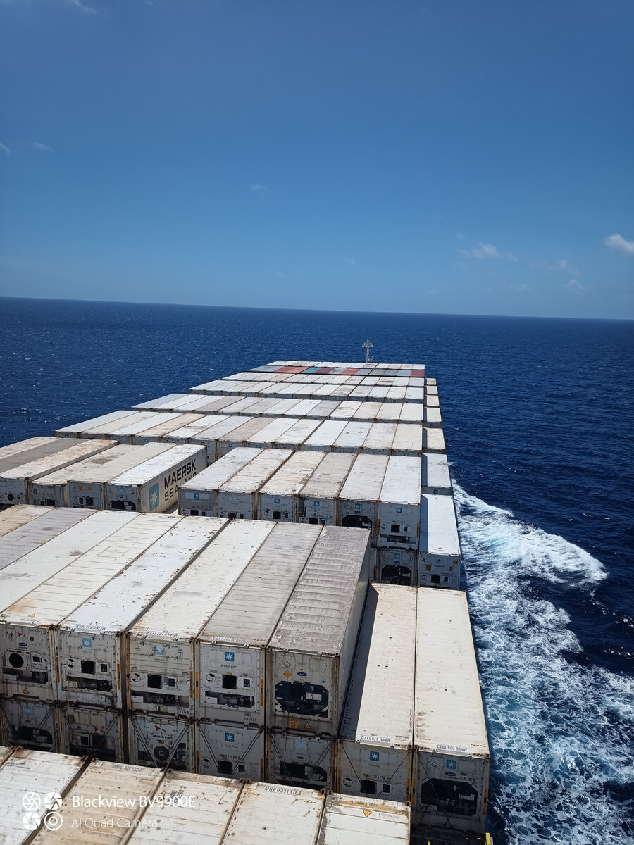 Пустые контейнеры-рефрижераторы