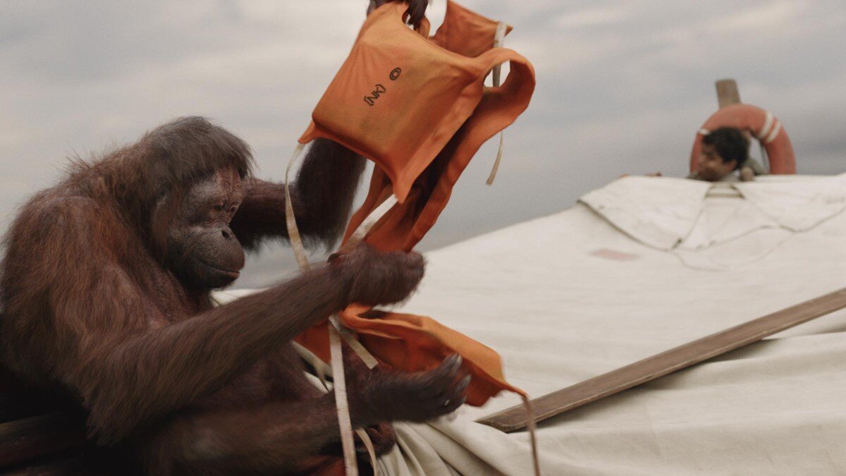 «Жизнь Пи», 2012 (Фото: Кадр из фильма)