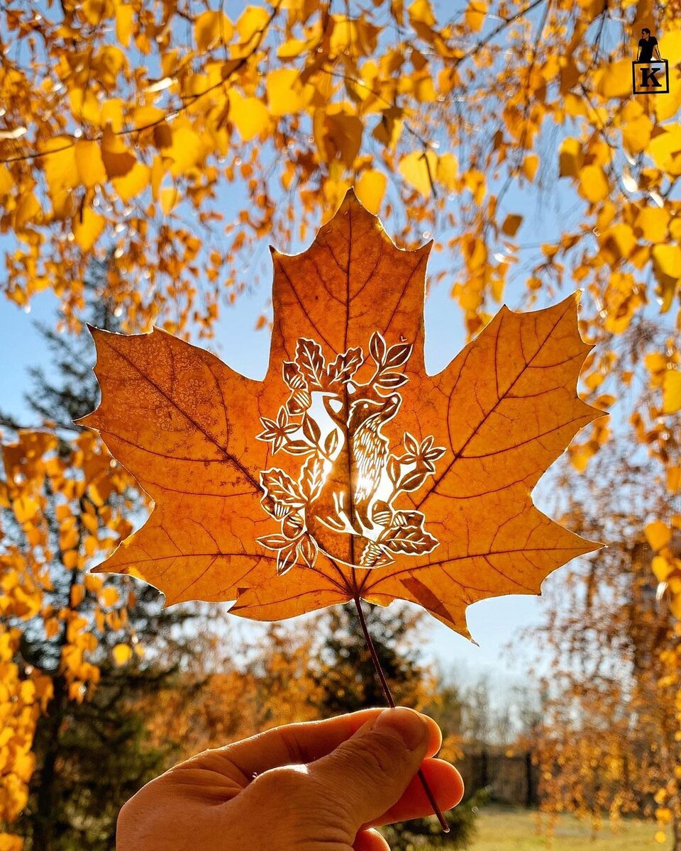 Фото: © instagram.com/kanat_n/ 
