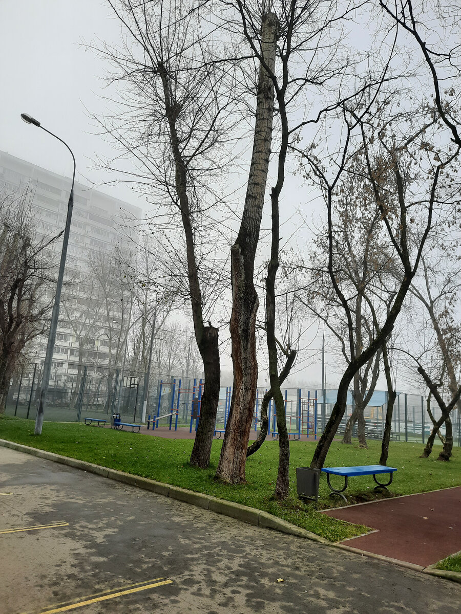 Чудная московская погода. Фото автора