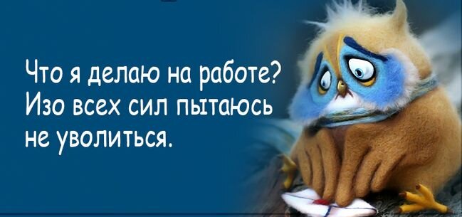Когда надоели неблагодарные идиоты: как безопасно и грамотно перестать быть председателем СНТ?
