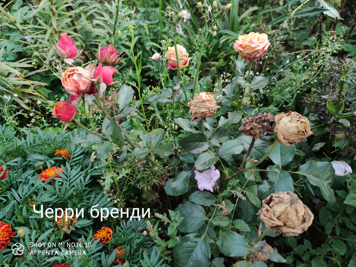 После продолжительных дождей