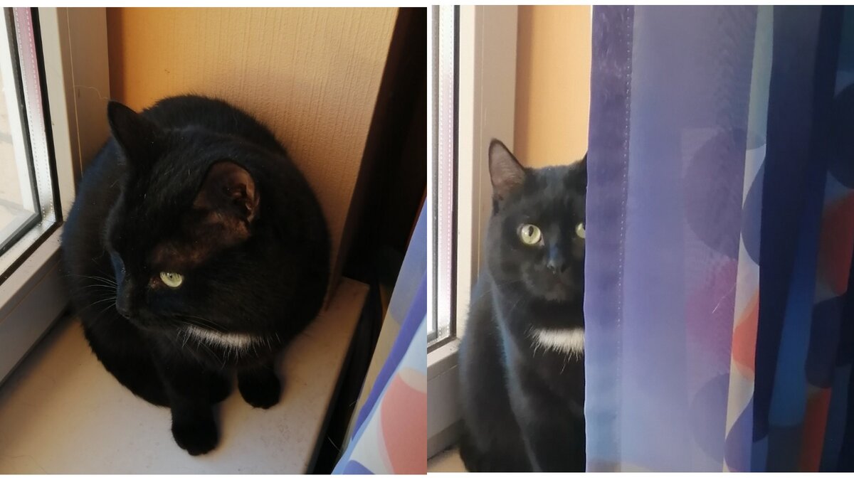 Фотографии из статьи про судьбу Игната