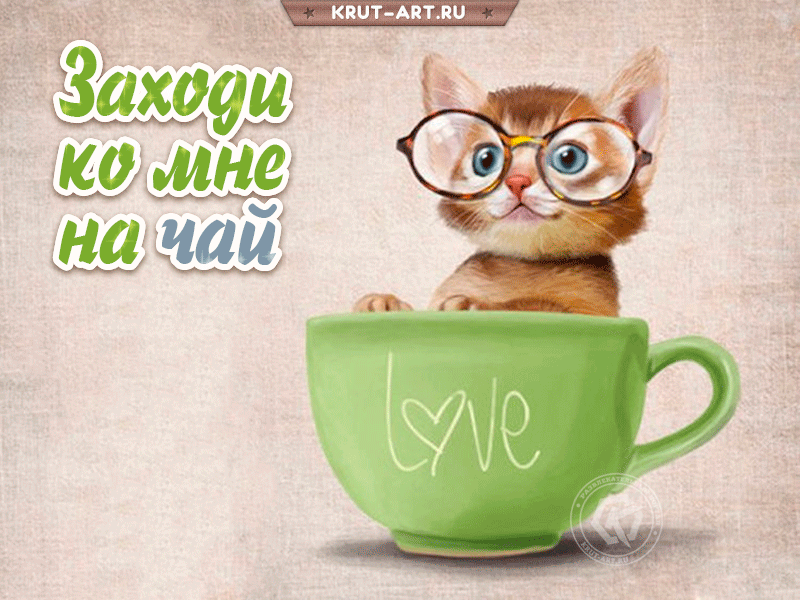 Заходи ко мне на чай, прикольное приглашение друга на чай, анимация с котенком в очках, который сидит в чашке