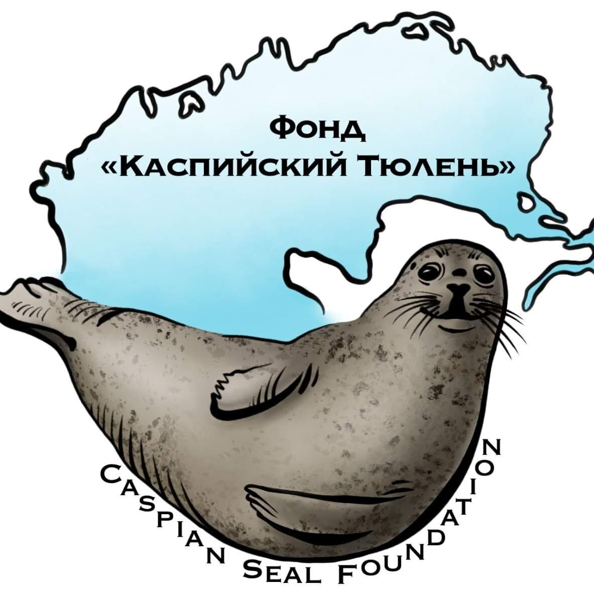 Фонд "Каспийский тюлень" основан 5 ноября 2020 года и является общественной организацией.
