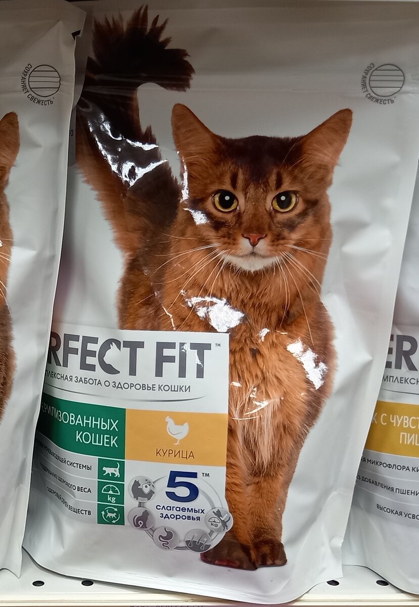 «PERFECT FIT» (фото автора)  