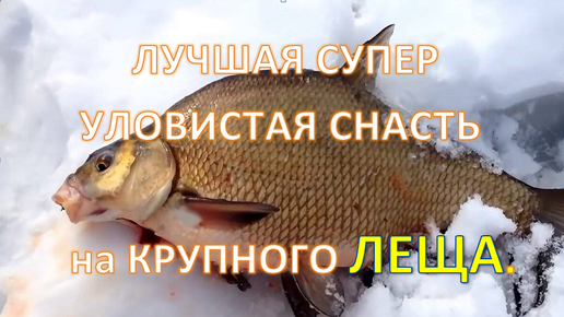 🎣 СУПЕР ПРУЖИНА 🎣 уловистая донная снасть для рыбалки на карася и карпа