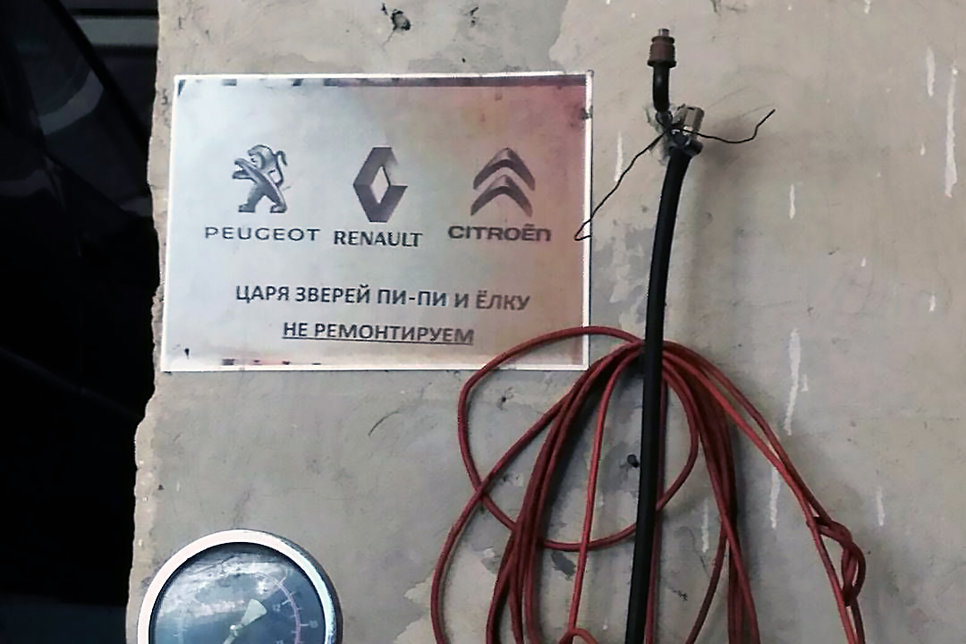 короля зверей и елку не ремонтируем. льва елочку не ремонтируем. елку не ремонтируем. царя зверей не ремонтируем. рено пежо логотип.