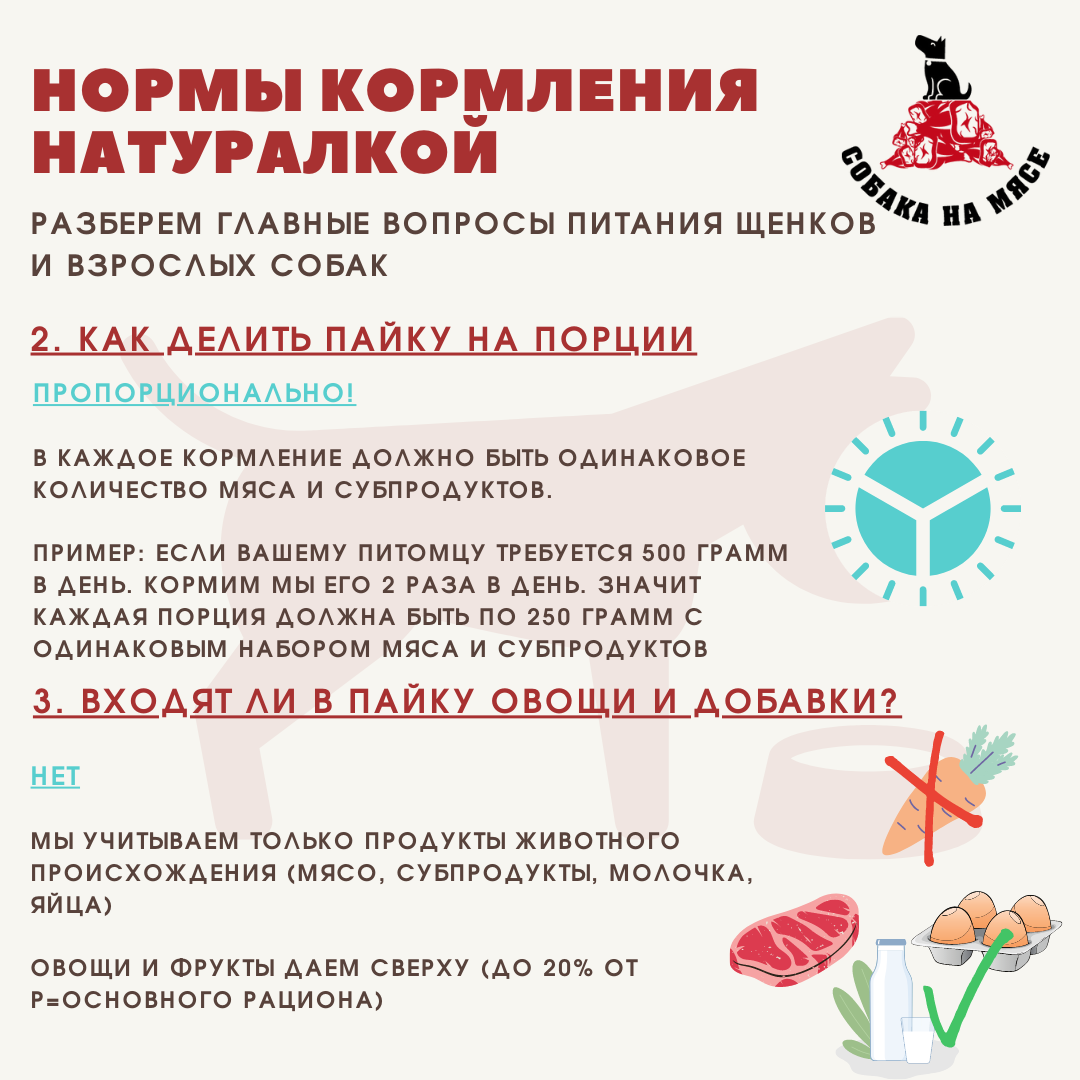 НОРМЫ КОРМЛЕНИЯ НАТУРАЛКОЙ В КАРТИНКАХ! | Собака на мясе | Дзен