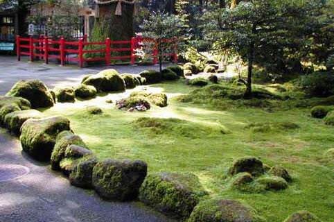 (Все картинки взяты из интернета)