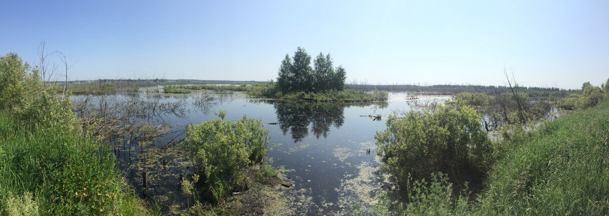 Прекрасные виды Мещеры сопровождают нас практически повсеместно. Фото: Геннадий Клюшкин 
