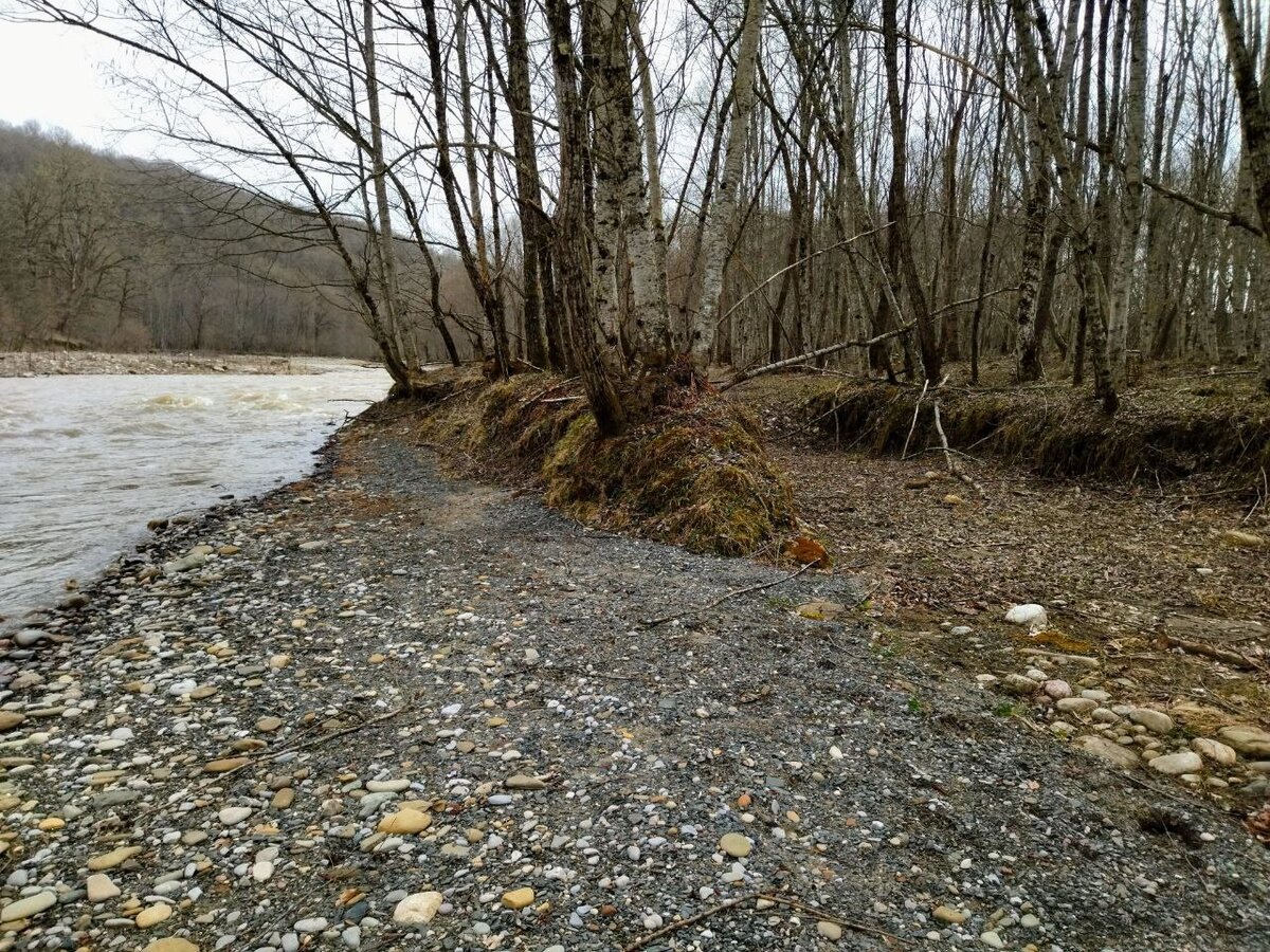 Место для пикника.