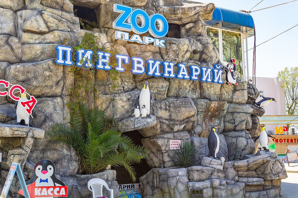 Зоопарк в лазаревском