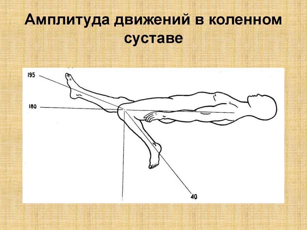 Нормы амплитуды движения для коленного сустава