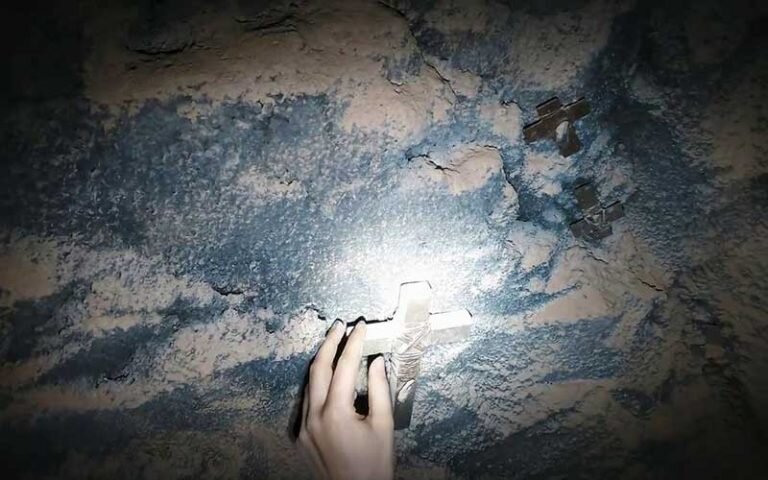 взято из открытых источников