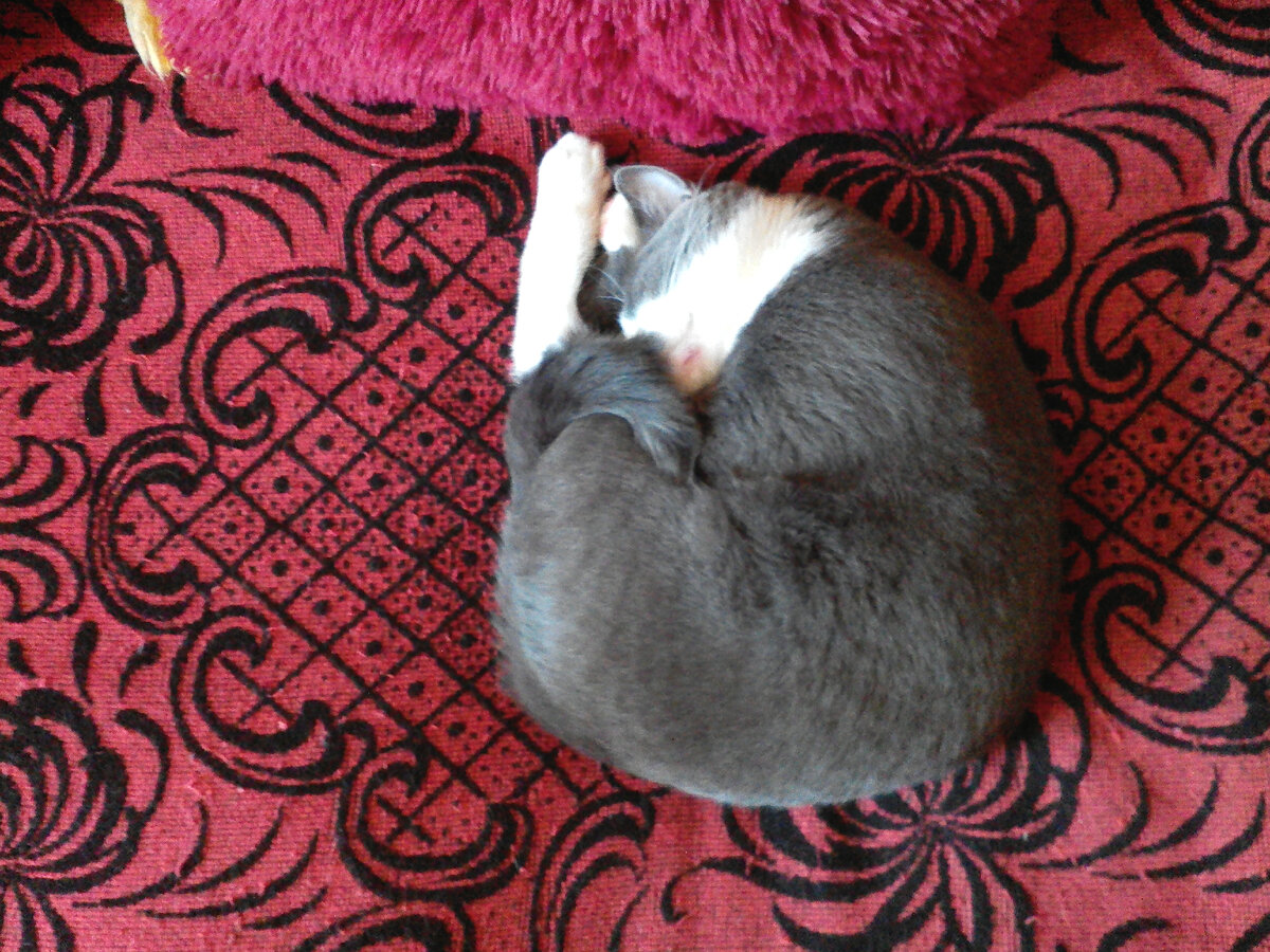 Маняша, видимо, замёрзла.