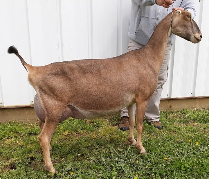 Фото с сайта Яндекс картинки. 