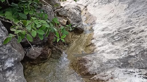 Стоковые фотографии по запросу Экономия воды