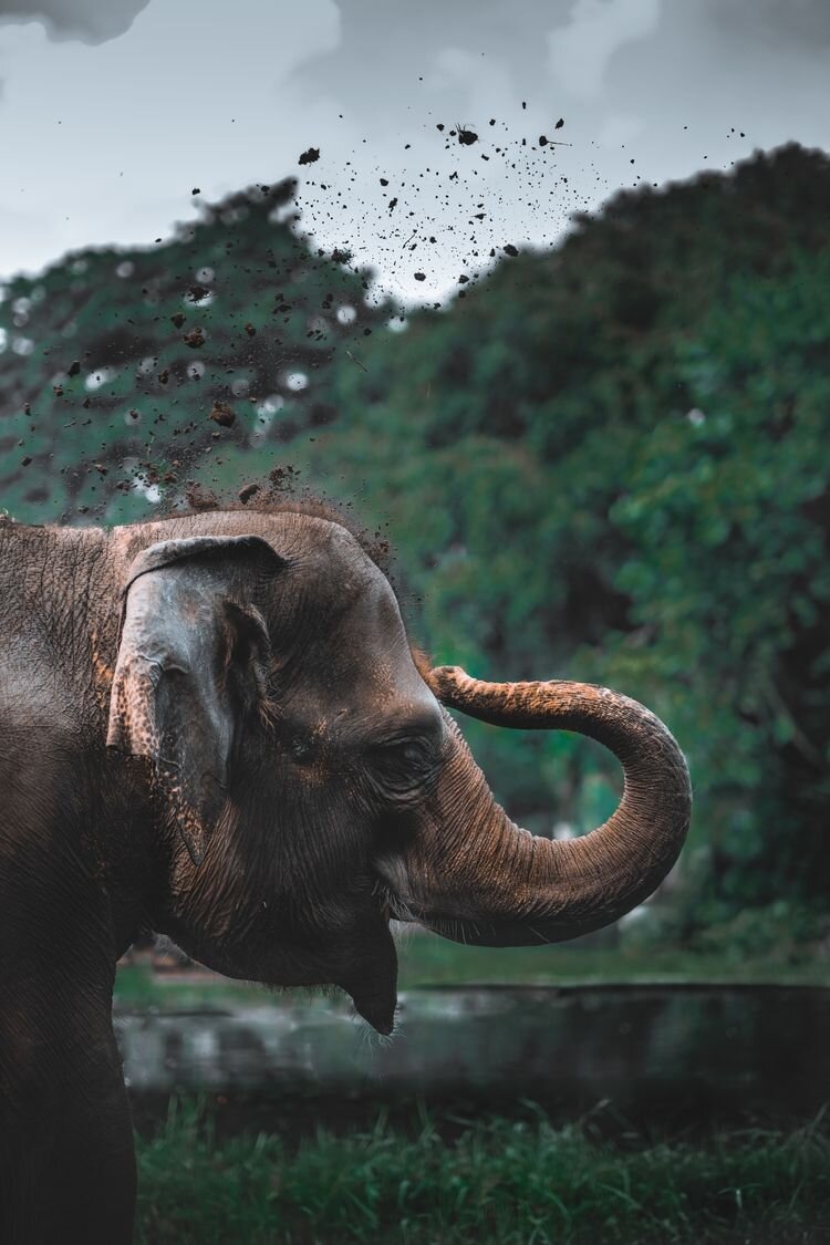 Источник: https://www.reddit.com/r/AskReddit/comments/w35ocq/comment/igudr1l + https://ria.ru/20120803/715617635.html + https://unsplash.com/photos/cbNVRnlntZ8