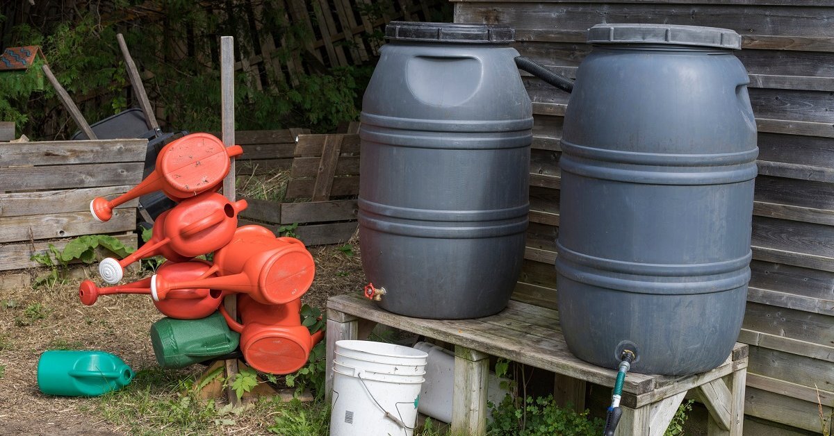 Яндекс. Картинки