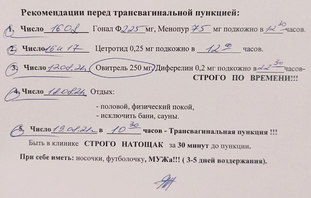 Это фото моих рекомендации перед пункцией, видите, рассчитаны точные даты и время. 