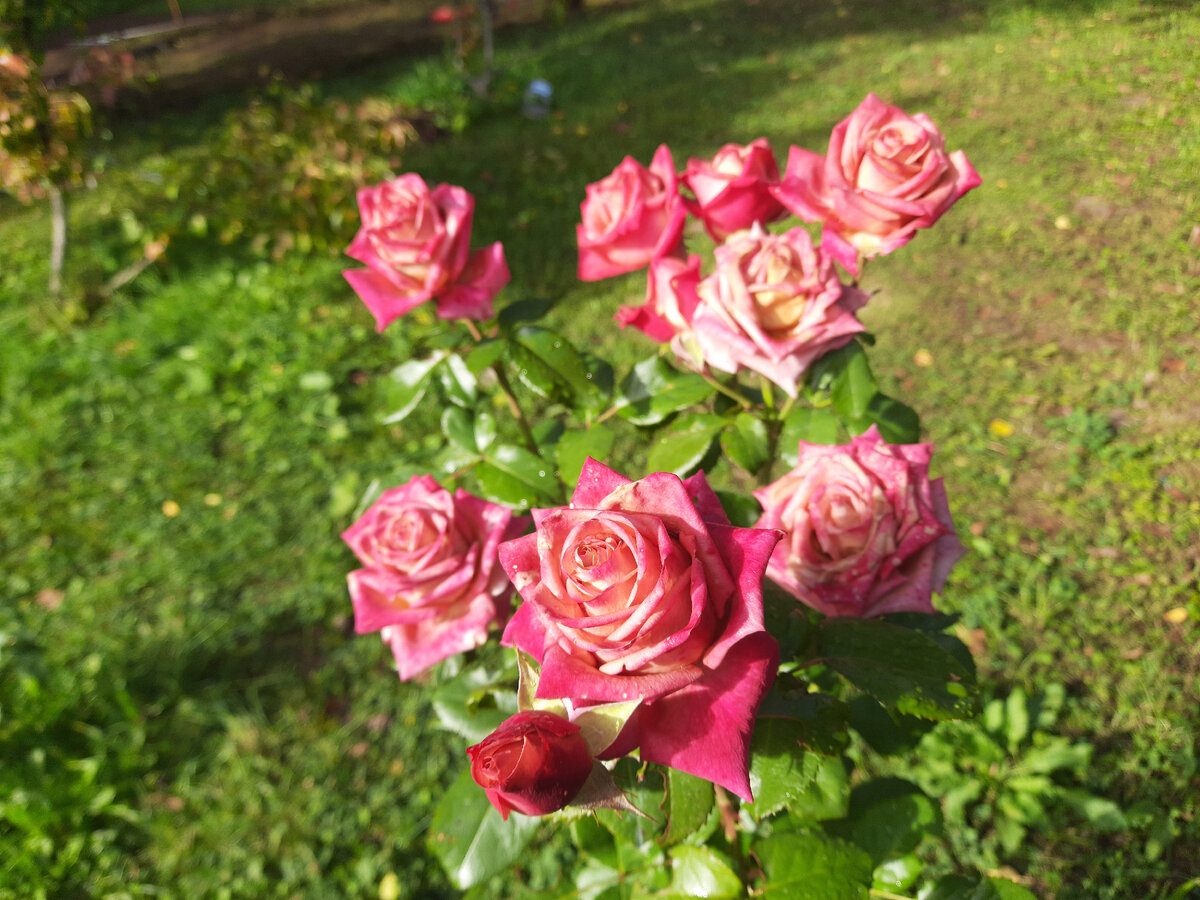 Фото 17 сентября.