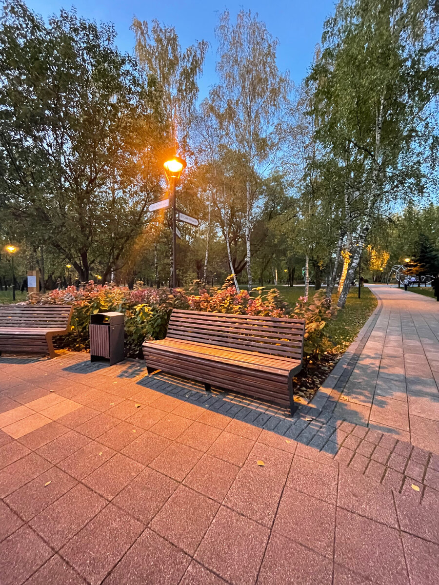 #щитовиднаяжелеза #гипертиреоз #фибрилляцияпредсердий #ритмсердца #нарушениеритма #эндокринология #гормоныщитовиднойжелезы 