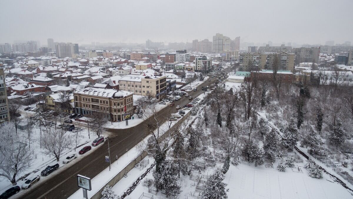    Зима в Краснодаре© РИА Новости / Виталий Тимкив