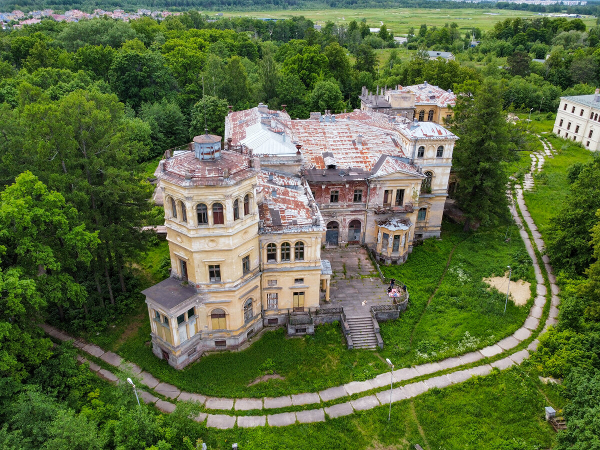 михайловская дача санкт петербург