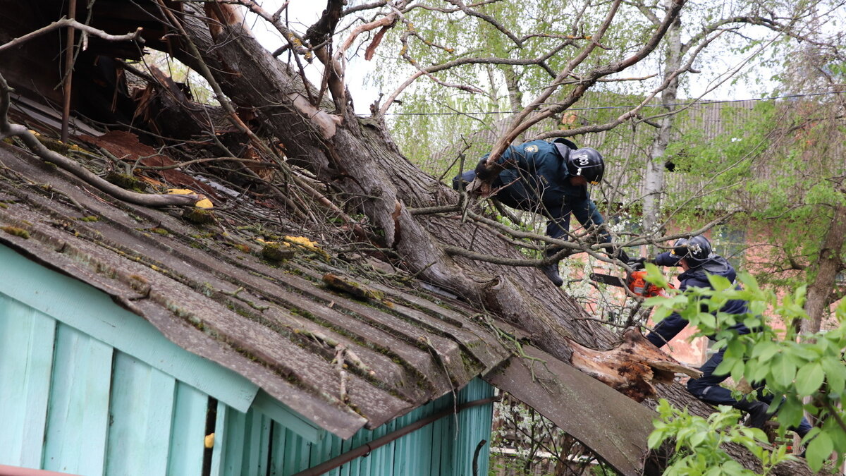     В ближайшие дни в регионе прогнозируют до 29 градусов тепла и небольшой дождь, следует из данных ставропольского Гидрометцентра.