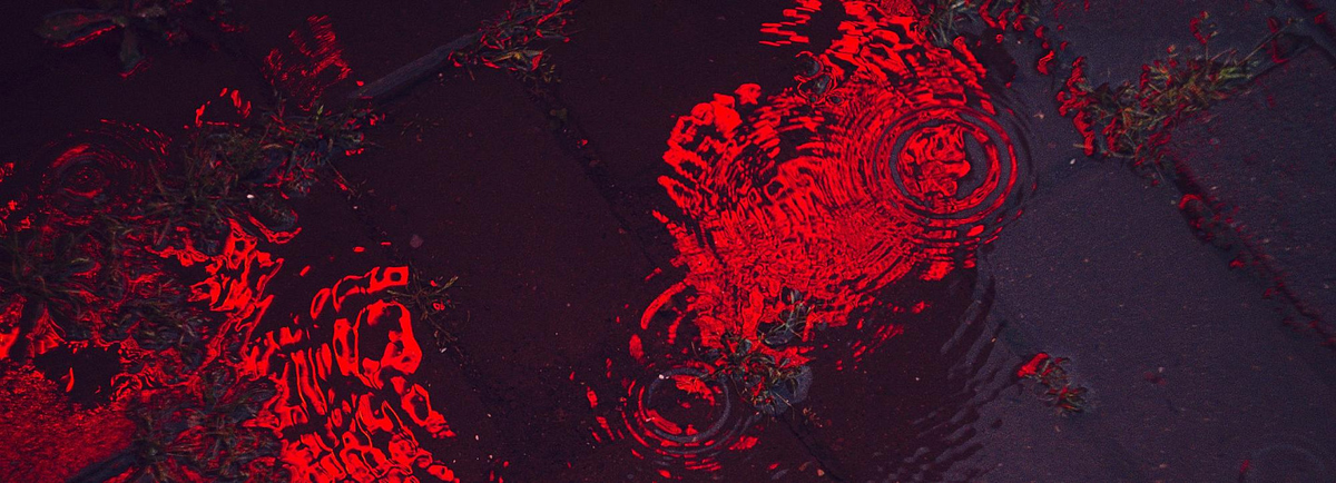 Фото: Ed Leszczynskl, unsplash.com