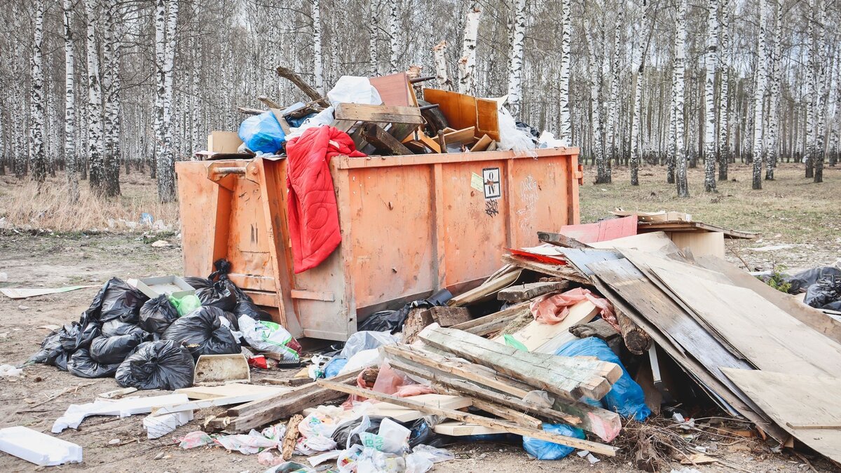     В лес около поселка Винзили свозятся разного рода отходы. По мнению властей, убирать мусор должен тот, кто туда его привозил.
