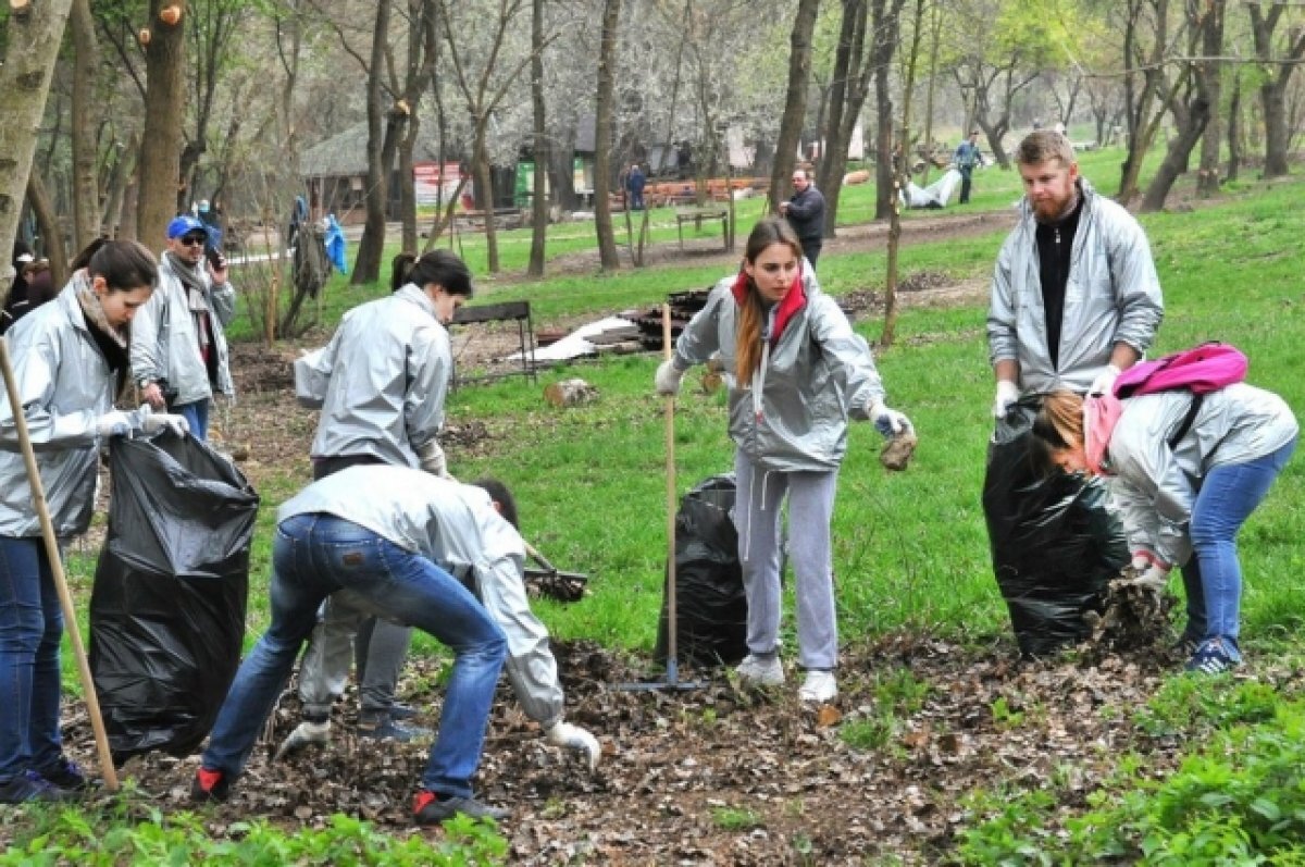    16 сентября в Краснодаре проведут осенний общегородской субботник
