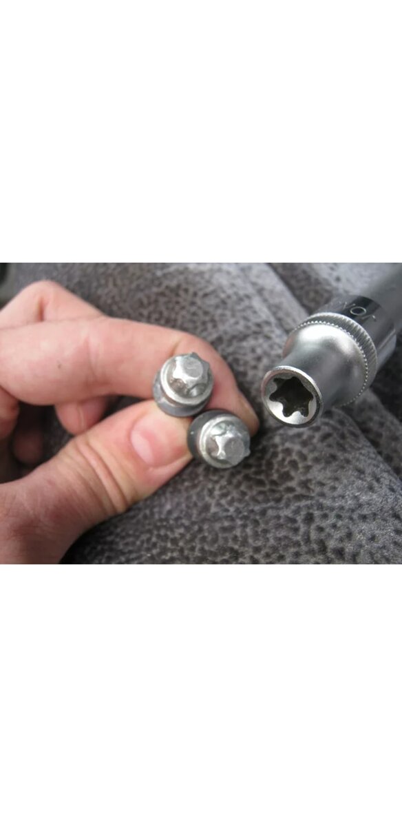 Фото из интернета 