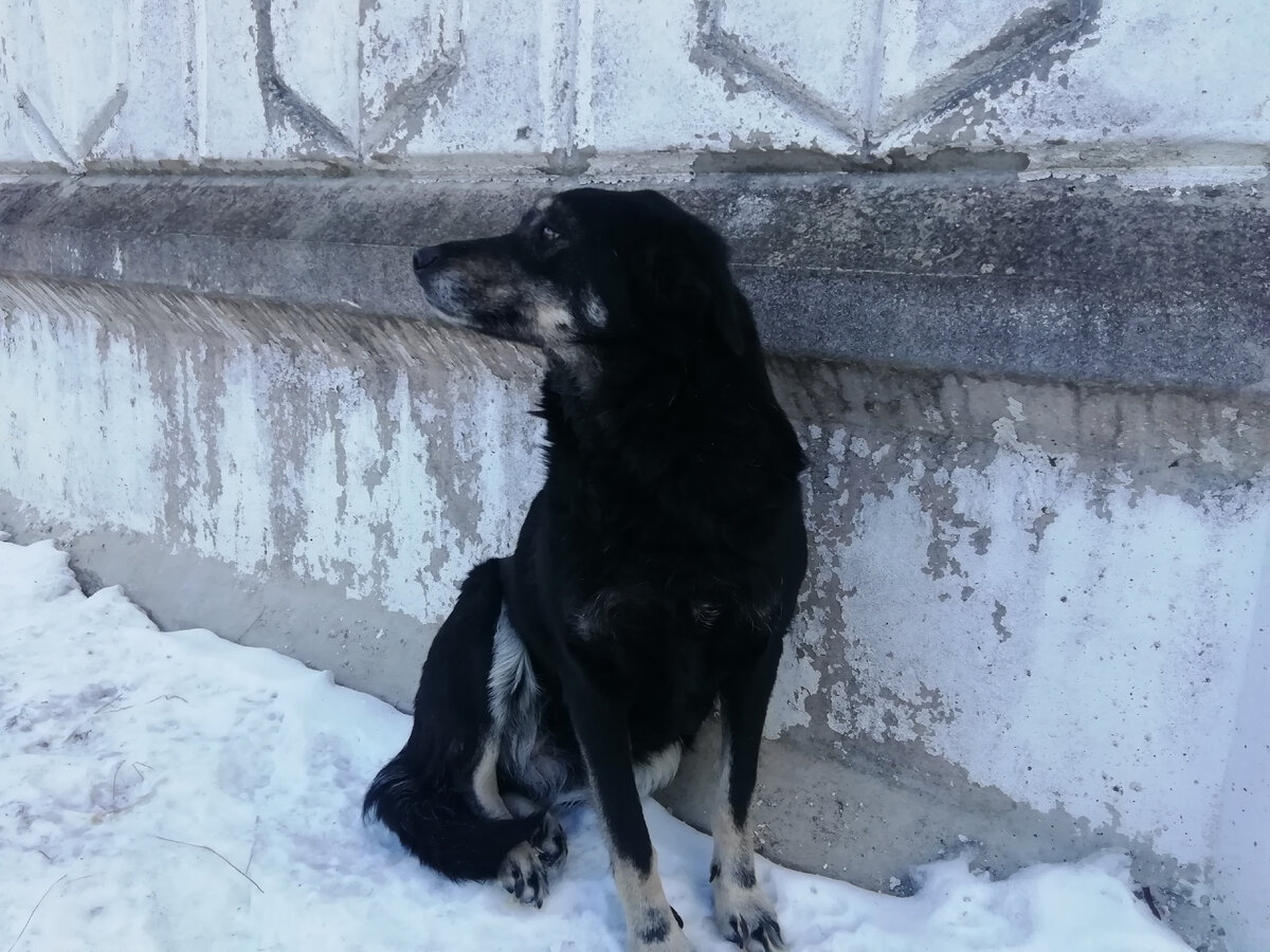 не понимает, что происходит