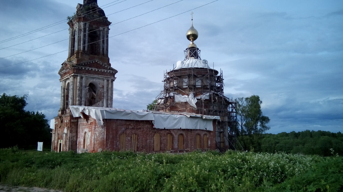 Сами понимаете - фото плаценты опубликовать не могу) 