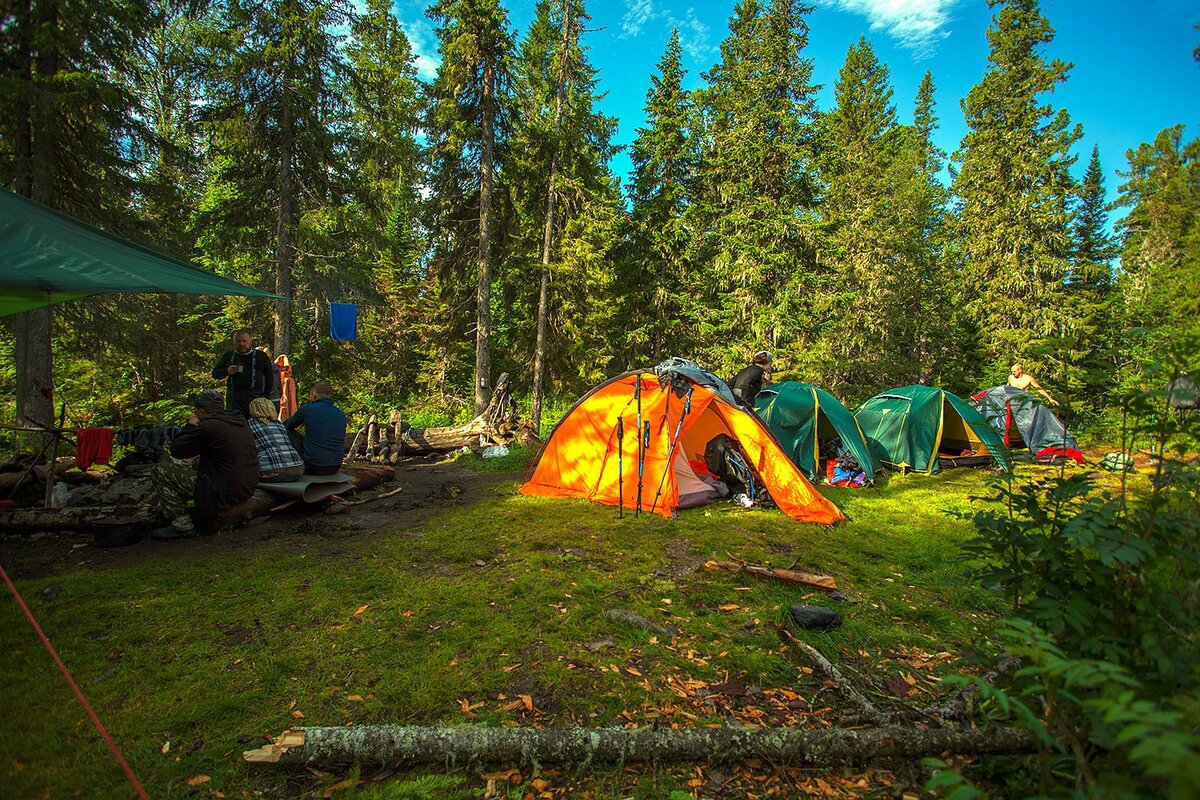 Лагерь тайга омск. Лагерь таежный. Лагерь таежный тува. Лагерь тайга. Лагерь таежный.