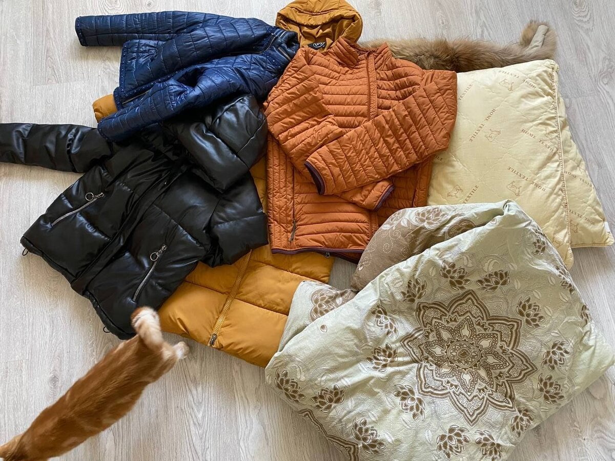 Рыжая помощница как обычно влезла в кадр