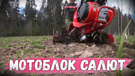 Что такое МОТОБЛОК САЛЮТ? Детальный разбор от Gardenstock, комплектация, работа по целине.